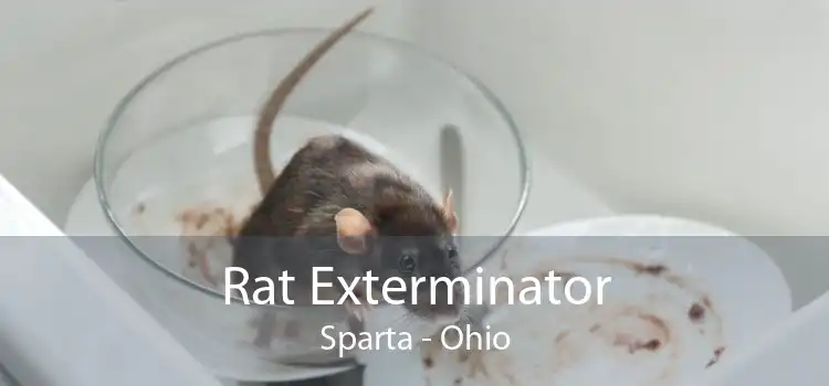 Rat Exterminator Sparta - Ohio