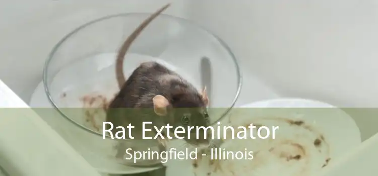 Rat Exterminator Springfield - Illinois