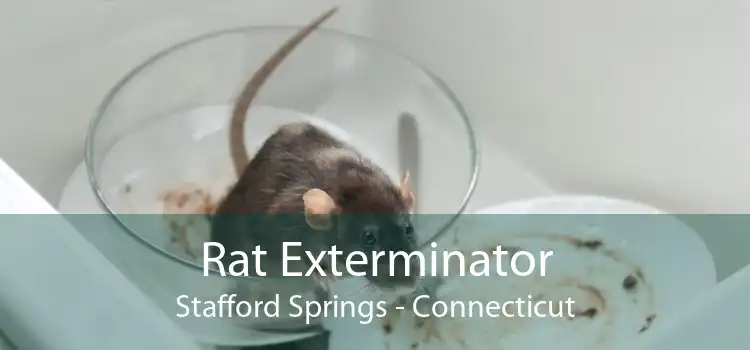 Rat Exterminator Stafford Springs - Connecticut