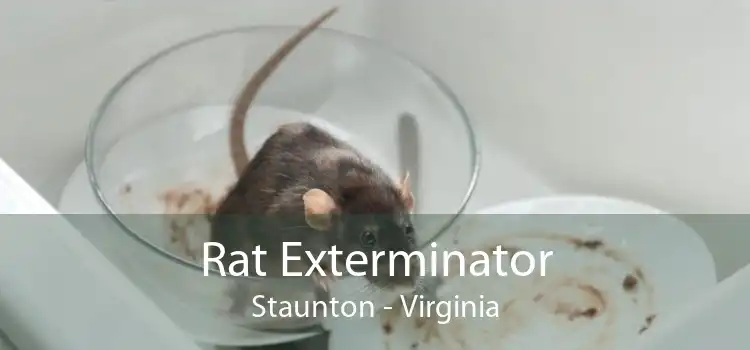 Rat Exterminator Staunton - Virginia