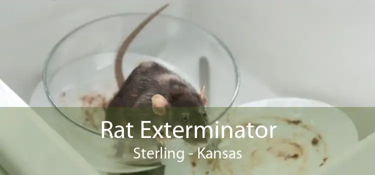 Rat Exterminator Sterling - Kansas