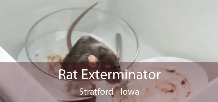 Rat Exterminator Stratford - Iowa