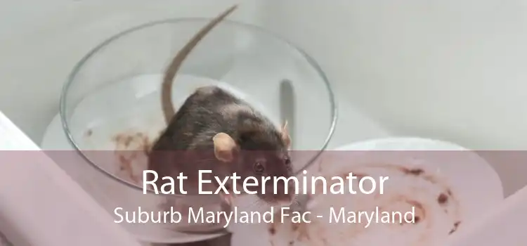 Rat Exterminator Suburb Maryland Fac - Maryland