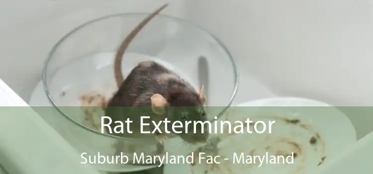 Rat Exterminator Suburb Maryland Fac - Maryland