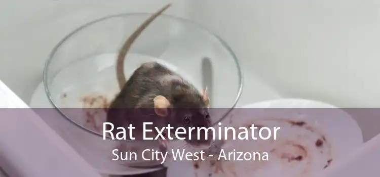 Rat Exterminator Sun City West - Arizona