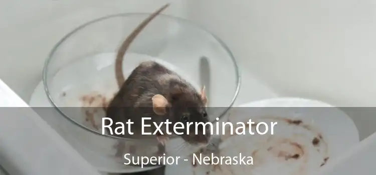 Rat Exterminator Superior - Nebraska