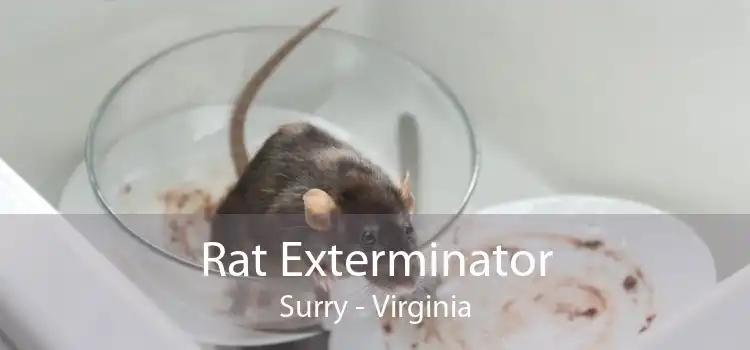 Rat Exterminator Surry - Virginia