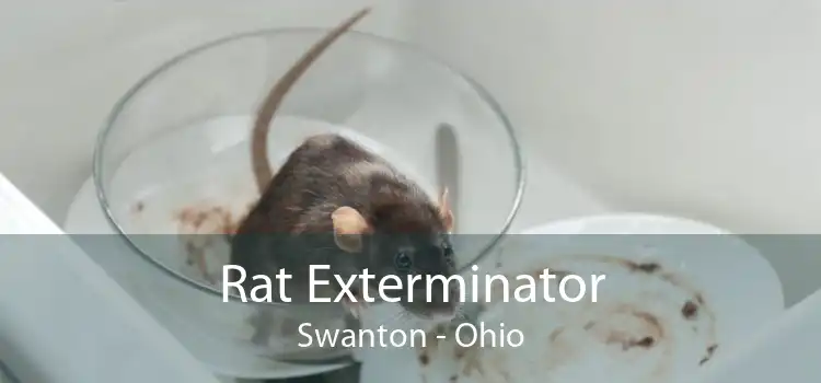 Rat Exterminator Swanton - Ohio