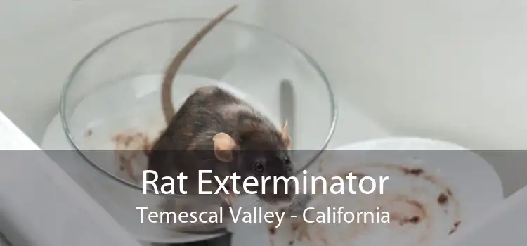 Rat Exterminator Temescal Valley - California