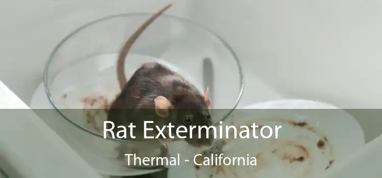 Rat Exterminator Thermal - California