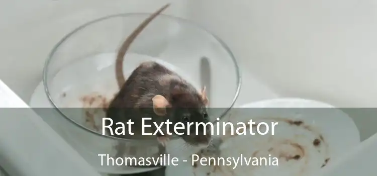 Rat Exterminator Thomasville - Pennsylvania