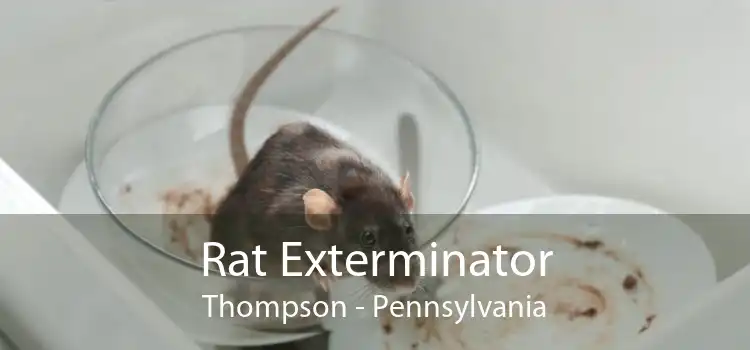 Rat Exterminator Thompson - Pennsylvania