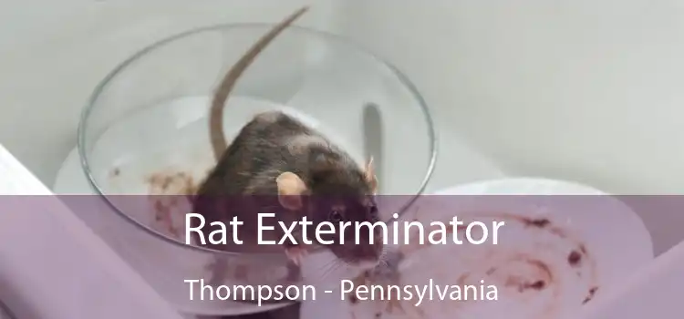 Rat Exterminator Thompson - Pennsylvania