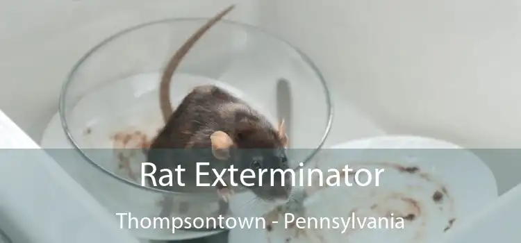Rat Exterminator Thompsontown - Pennsylvania