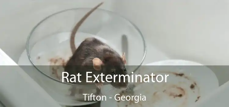 Rat Exterminator Tifton - Georgia