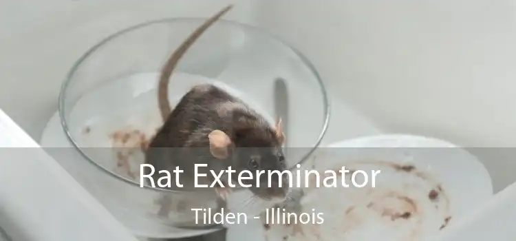 Rat Exterminator Tilden - Illinois