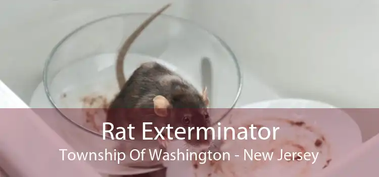 Rat Exterminator Township Of Washington - New Jersey