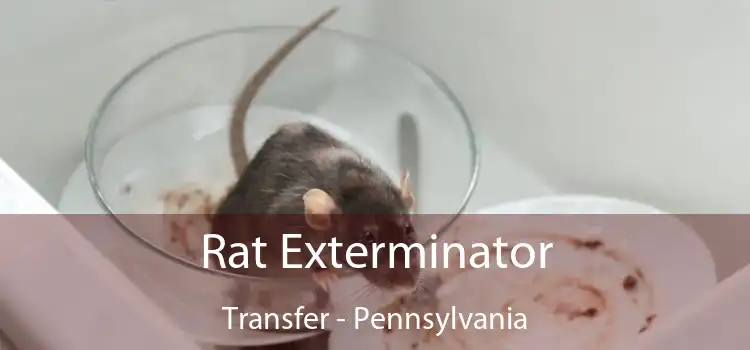 Rat Exterminator Transfer - Pennsylvania