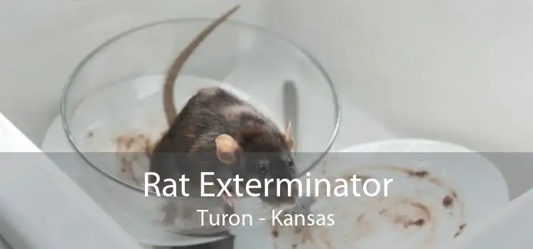 Rat Exterminator Turon - Kansas