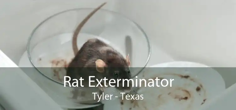 Rat Exterminator Tyler - Texas