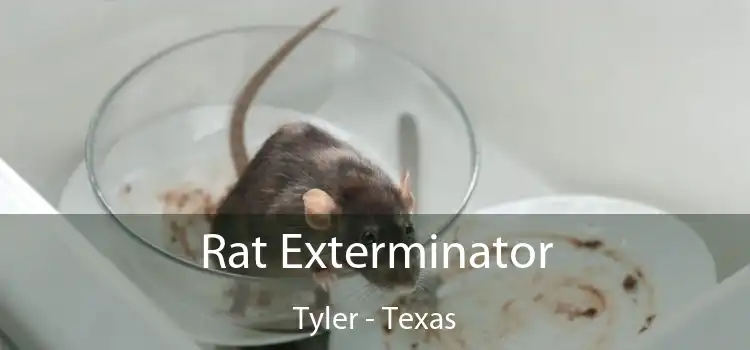 Rat Exterminator Tyler - Texas