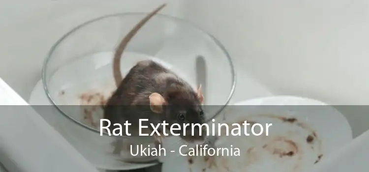 Rat Exterminator Ukiah - California