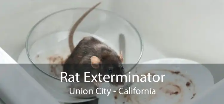 Rat Exterminator Union City - California