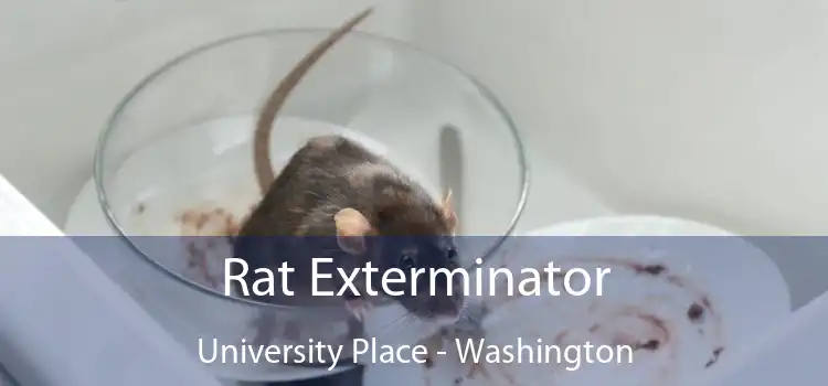 Rat Exterminator University Place - Washington