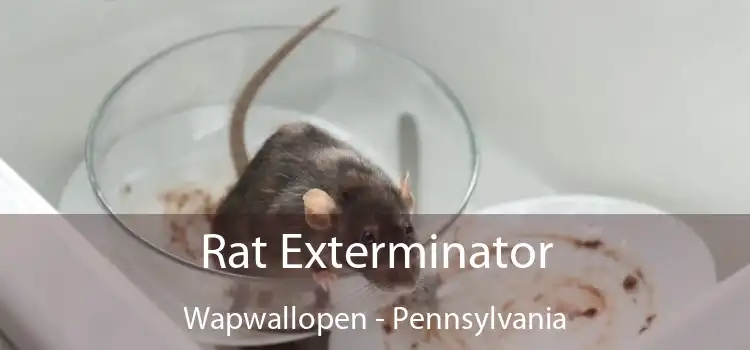Rat Exterminator Wapwallopen - Pennsylvania