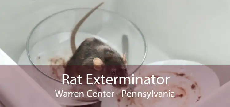 Rat Exterminator Warren Center - Pennsylvania