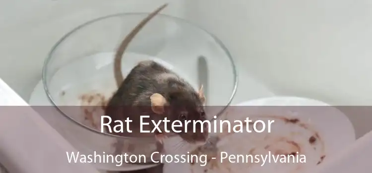 Rat Exterminator Washington Crossing - Pennsylvania
