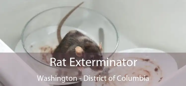 Rat Exterminator Washington - District of Columbia