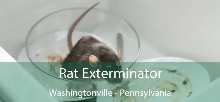 Rat Exterminator Washingtonville - Pennsylvania
