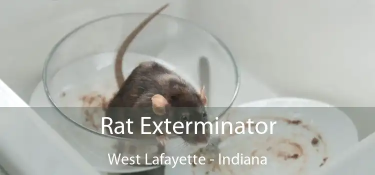 Rat Exterminator West Lafayette - Indiana