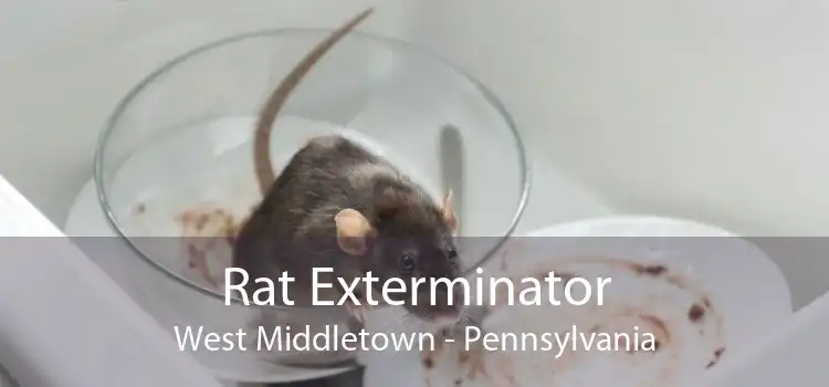 Rat Exterminator West Middletown - Pennsylvania