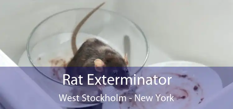 Rat Exterminator West Stockholm - New York