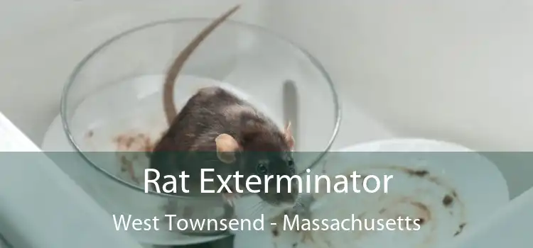 Rat Exterminator West Townsend - Massachusetts