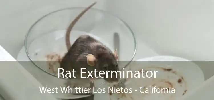 Rat Exterminator West Whittier Los Nietos - California