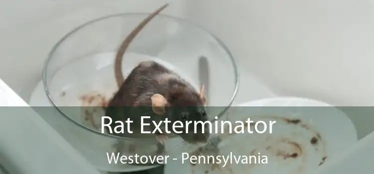 Rat Exterminator Westover - Pennsylvania