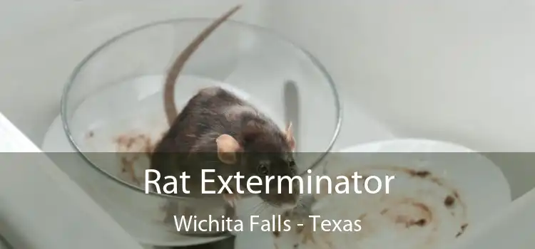 Rat Exterminator Wichita Falls - Texas