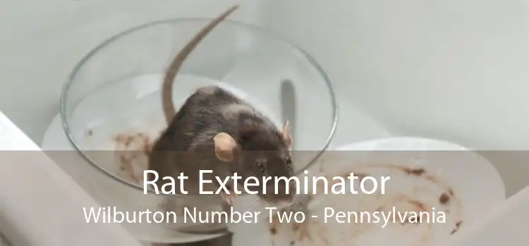Rat Exterminator Wilburton Number Two - Pennsylvania