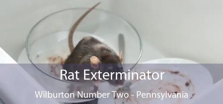 Rat Exterminator Wilburton Number Two - Pennsylvania