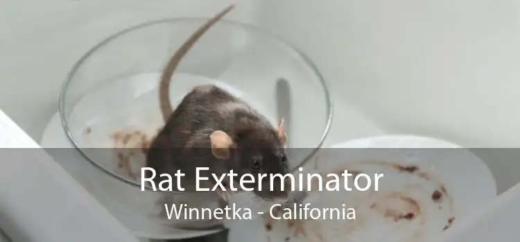Rat Exterminator Winnetka - California
