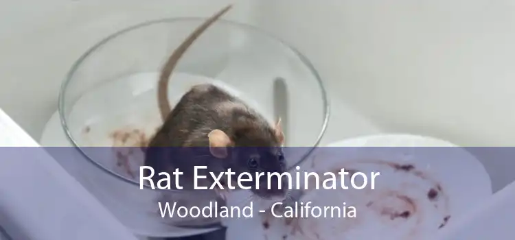 Rat Exterminator Woodland - California