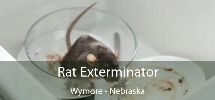 Rat Exterminator Wymore - Nebraska