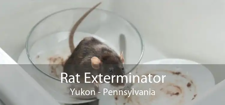 Rat Exterminator Yukon - Pennsylvania