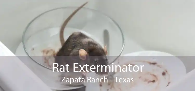 Rat Exterminator Zapata Ranch - Texas