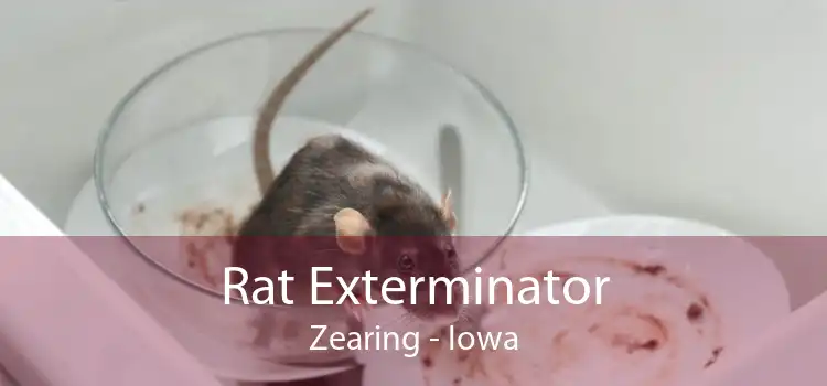Rat Exterminator Zearing - Iowa