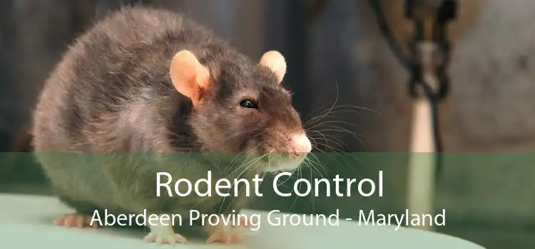 Rodent Control Aberdeen Proving Ground - Maryland