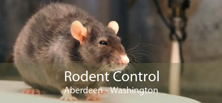 Rodent Control Aberdeen - Washington